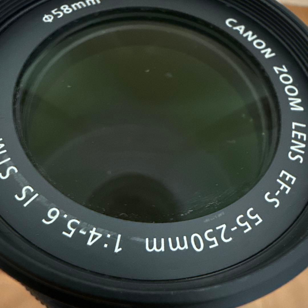 Canon EF-S 55-250mm F4-5.6 IS STM(ジャンク品)