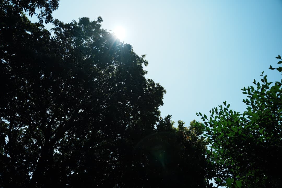 【美品】Tamron 28-75mm F2.8 Di III RXD ソニーE用