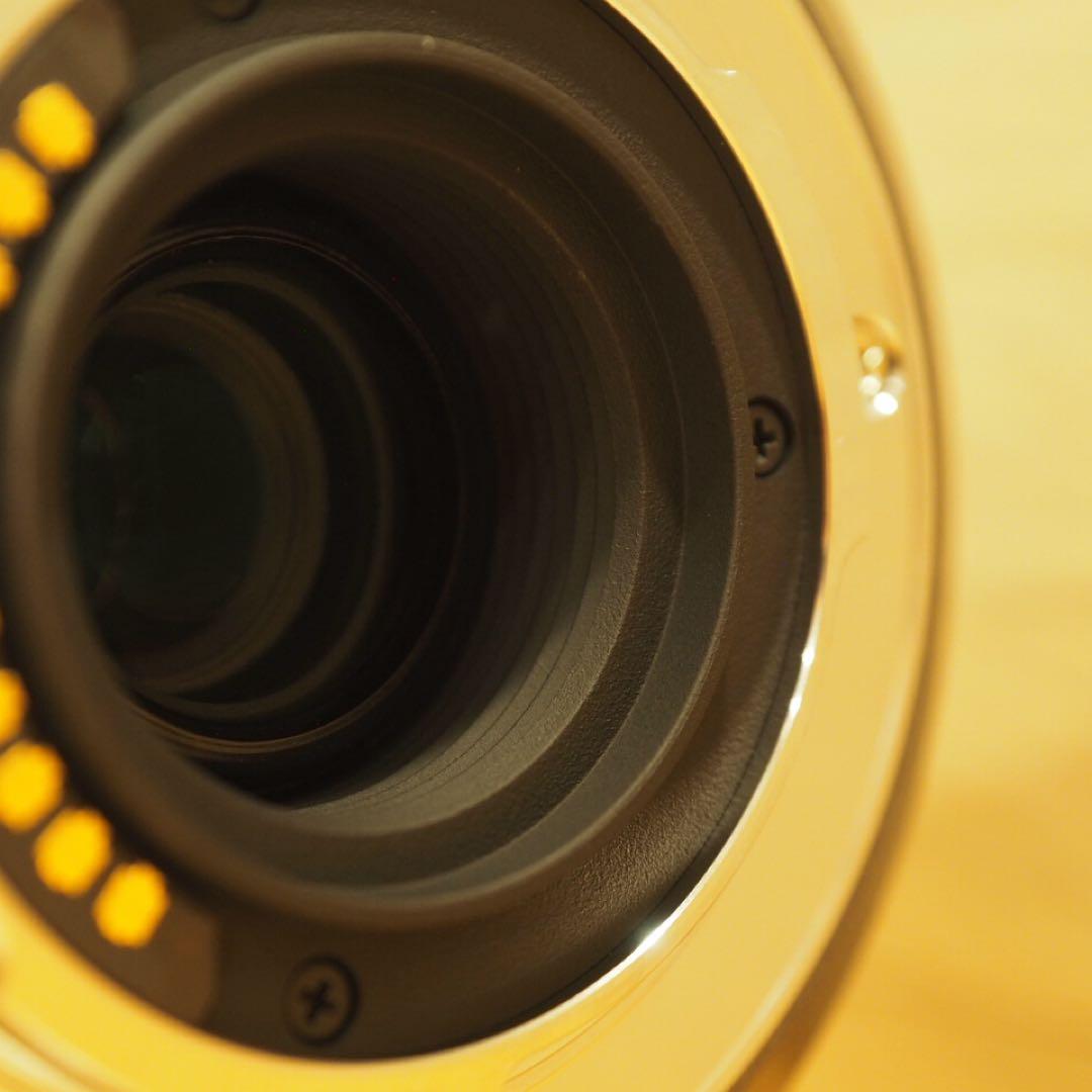 LUMIX G VARIO 45-200mm★H-FS045200★パナソニック