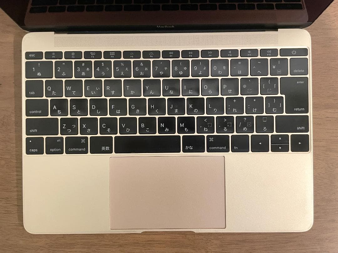 MacBook 12インチ　2015　CoreM　8GB　251GB
