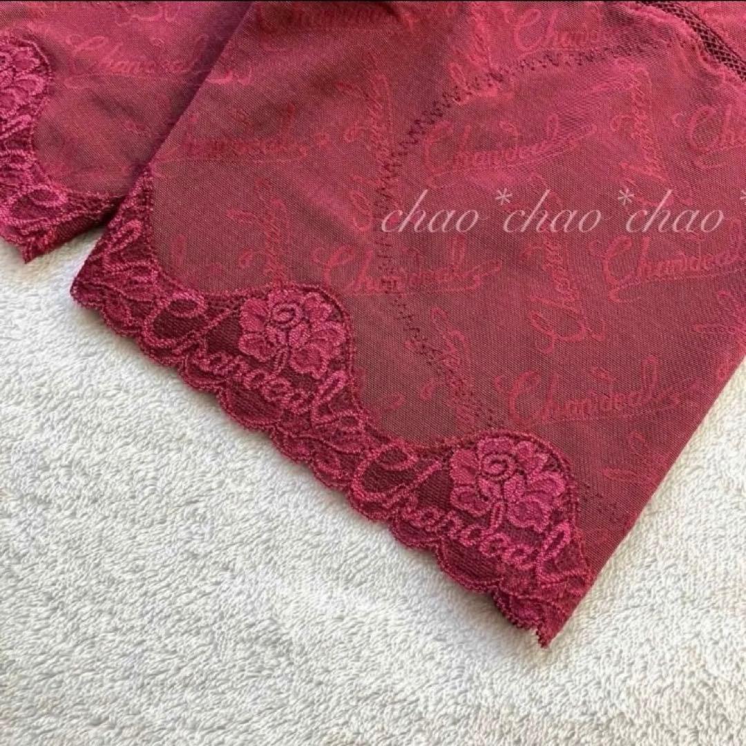 【新品未使用】シャンデール ロングガードル 2枚セット 70補3 補正下着