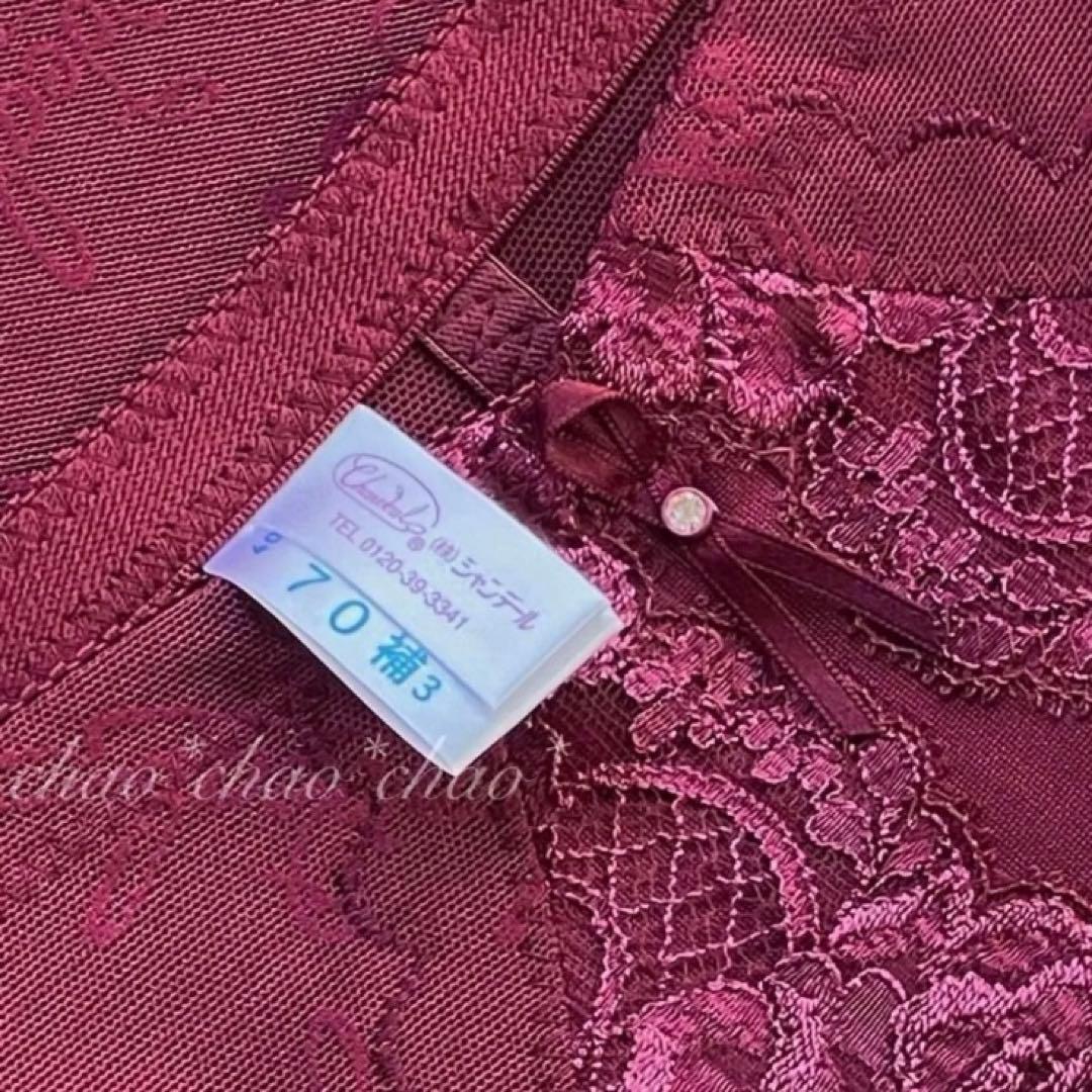 【新品未使用】シャンデール ロングガードル 2枚セット 70補3 補正下着