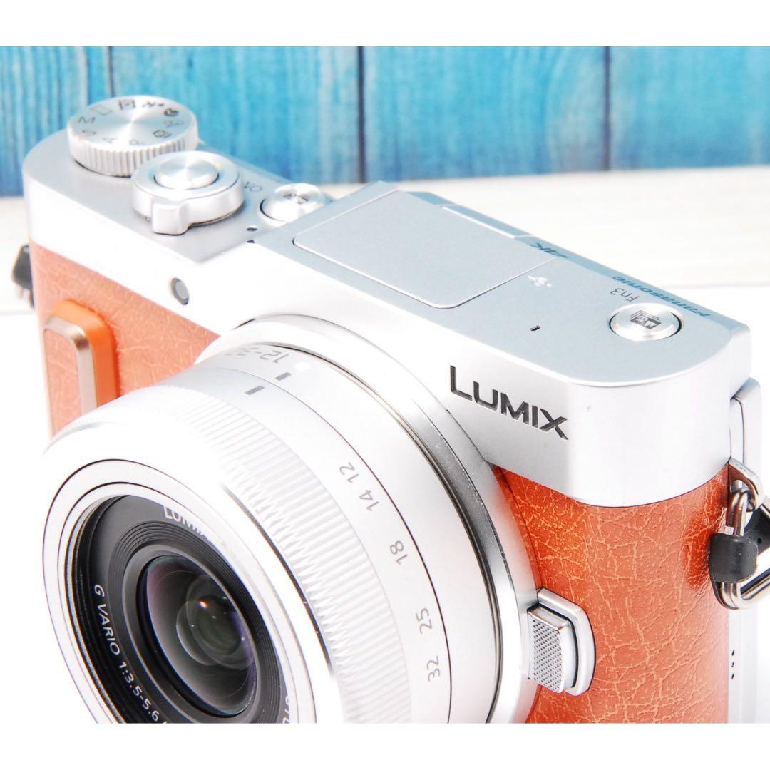 【新品級】LUMIX GF10 Wi-Fi ショット数197回　ルミックス