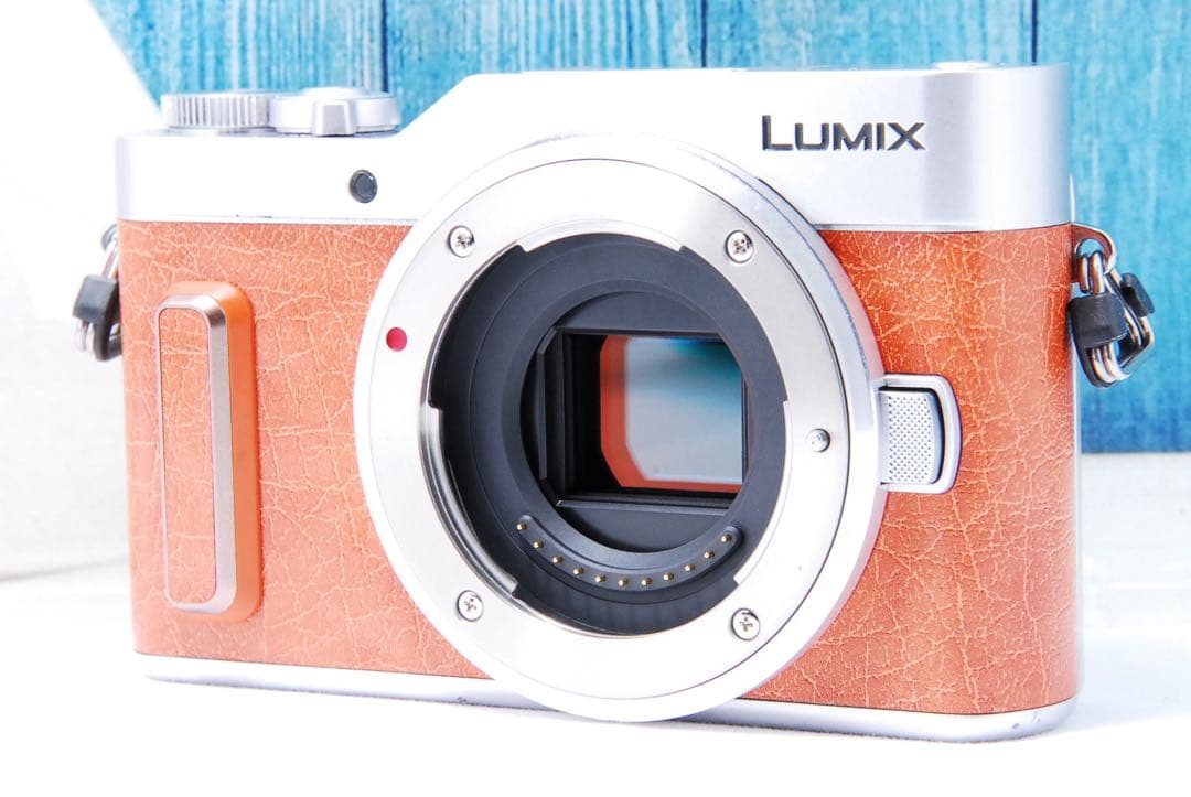 【新品級】LUMIX GF10 Wi-Fi ショット数197回　ルミックス