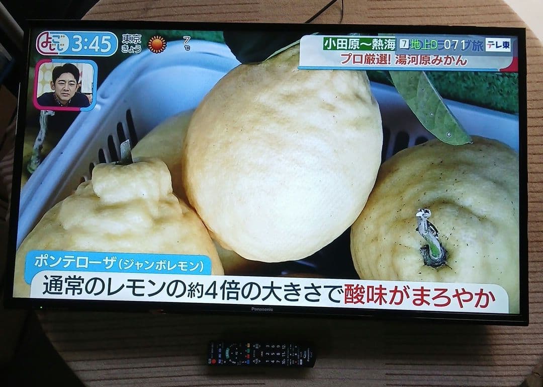 43インチ液晶TV パナソニック TH-43E300HT【スタンド無】no.37