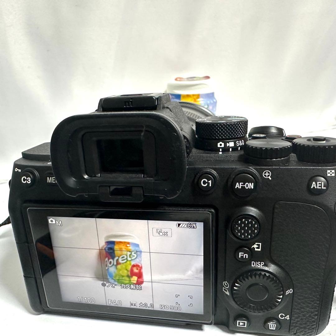 SONY α7 IV ILCE-7M4 FE 24-105mm F4 G OSS
