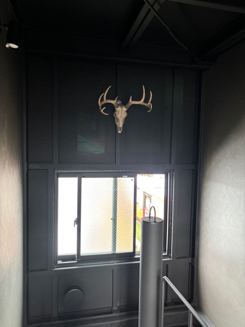 牡鹿スカル ハンティングトロフィー 輸入品 定価45,760円