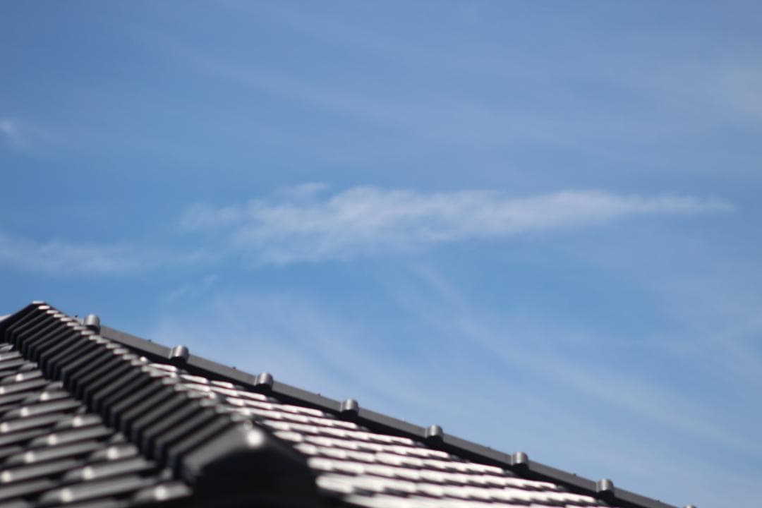 【作例あり】純正望遠レンズ Canon EF 75-300mm Ⅱ 動作良好