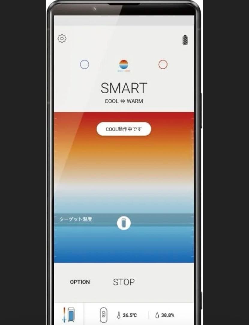SONY レオンポケット　プロ　REON POCKET PRO RNPK-P1