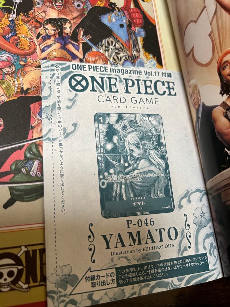 ワンピース カードゲーム ONE PIECE magazine Vol. 16,17