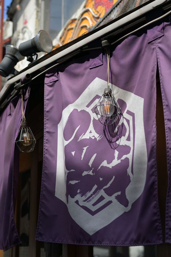 Nikon zfc シルバー 別売ttartisan ミラーレス一眼