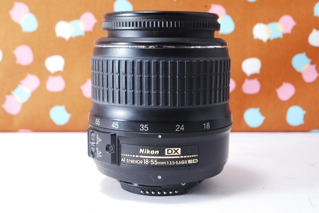 ✨スマホ転送可能✨初心者オススメ✨Nikon D60 レンズセット