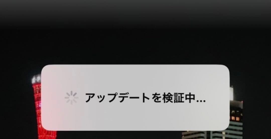 Apple iPhone 12 Pro 白 本体　ジャンク品