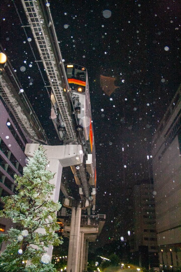 Canon EOS Kiss Digital N 一眼レフカメラ 純正バッテリー