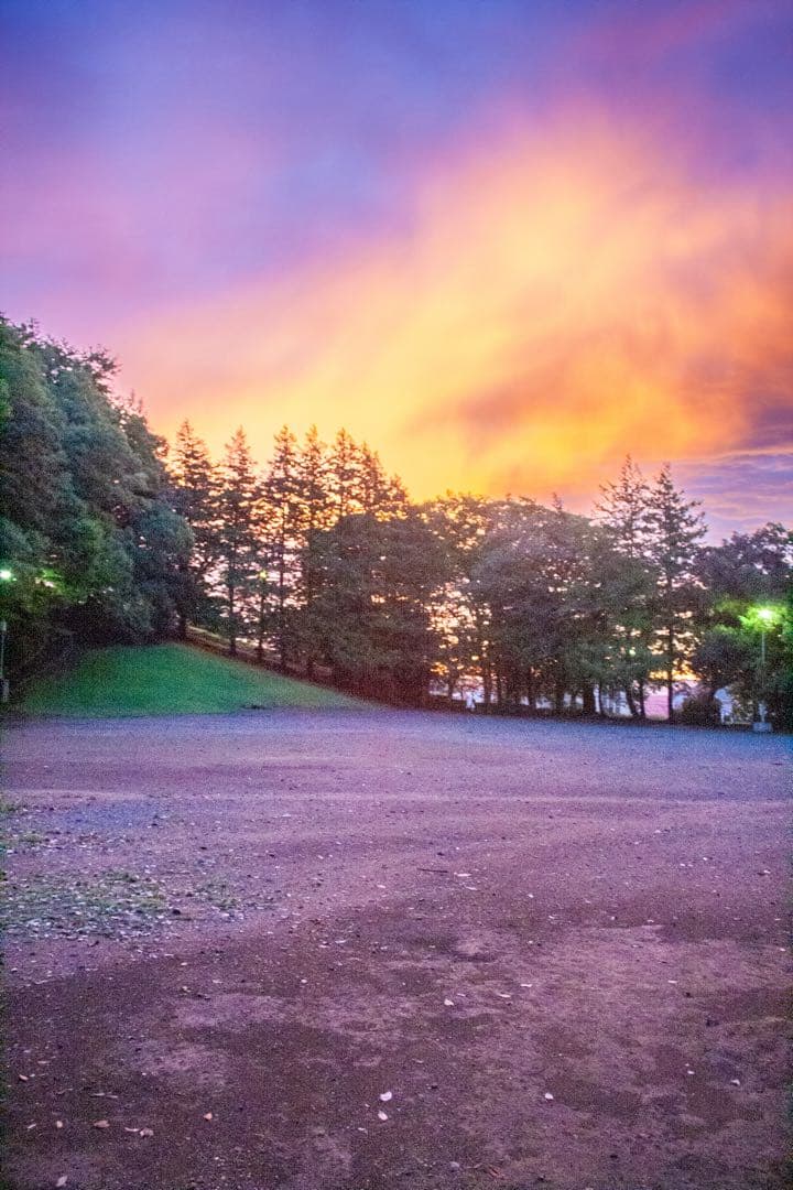 Canon EOS Kiss Digital N 一眼レフカメラ 純正バッテリー