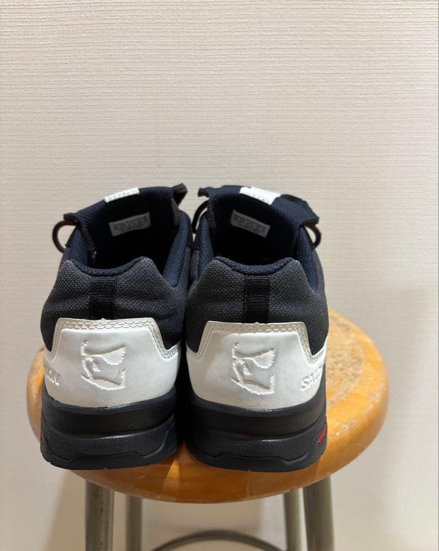 Salomon × GR10R X-ALP ESIlL