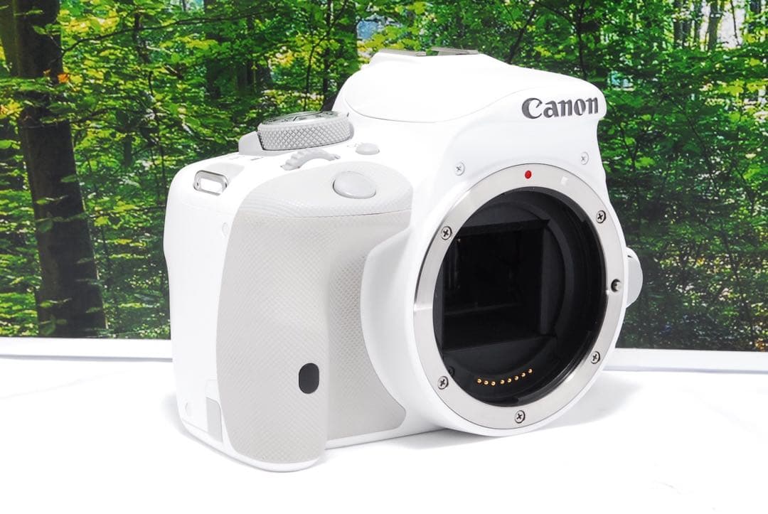 【美品】Canon EOS Kiss X7 ホワイト デジタル一眼カメラ