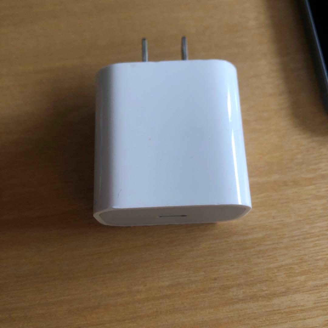 iPad Air 第4世代　スカイブルー 本体 充電器付き