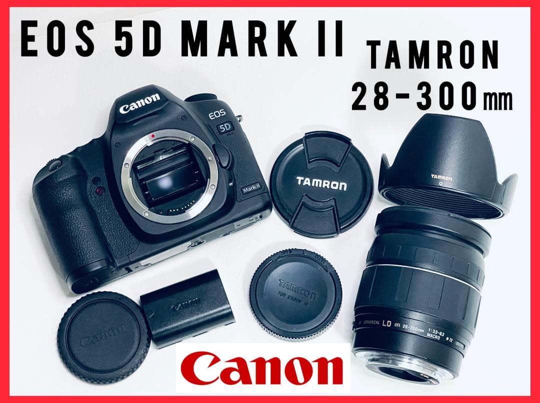 【ショット数5,373回 】Canon キヤノン EOS 5D Mark II