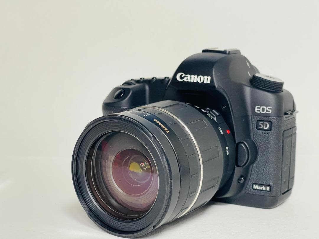 【ショット数5,373回 】Canon キヤノン EOS 5D Mark II