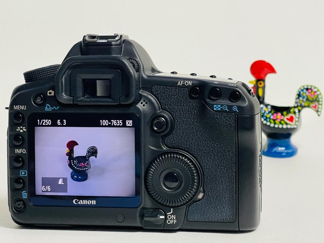 【ショット数5,373回 】Canon キヤノン EOS 5D Mark II