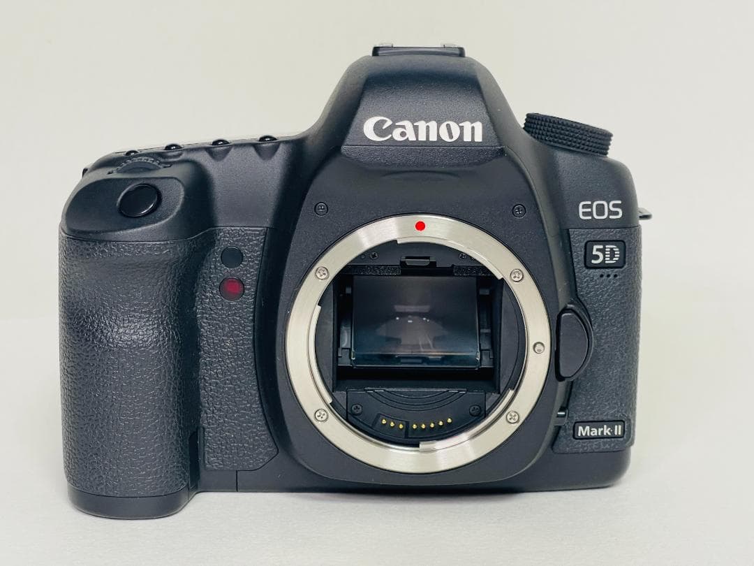 【ショット数5,373回 】Canon キヤノン EOS 5D Mark II