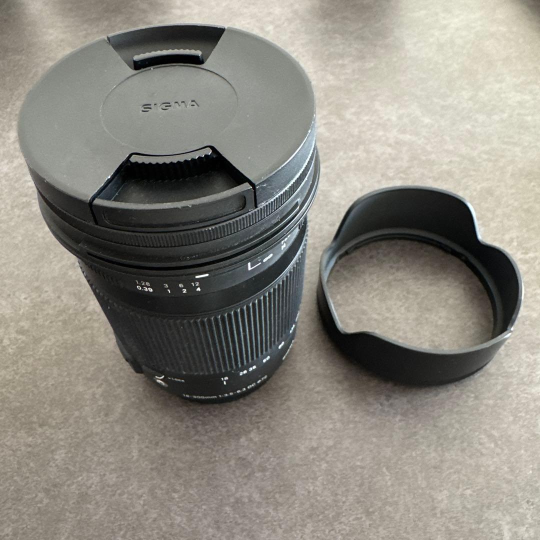 SIGMA ズームレンズ 72mm フィルター付き