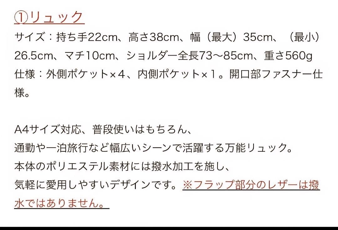 2026福袋　ear PAPILLONNER リュックのみ