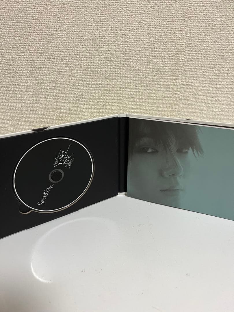 YESUNG Spring Falling サイン付き