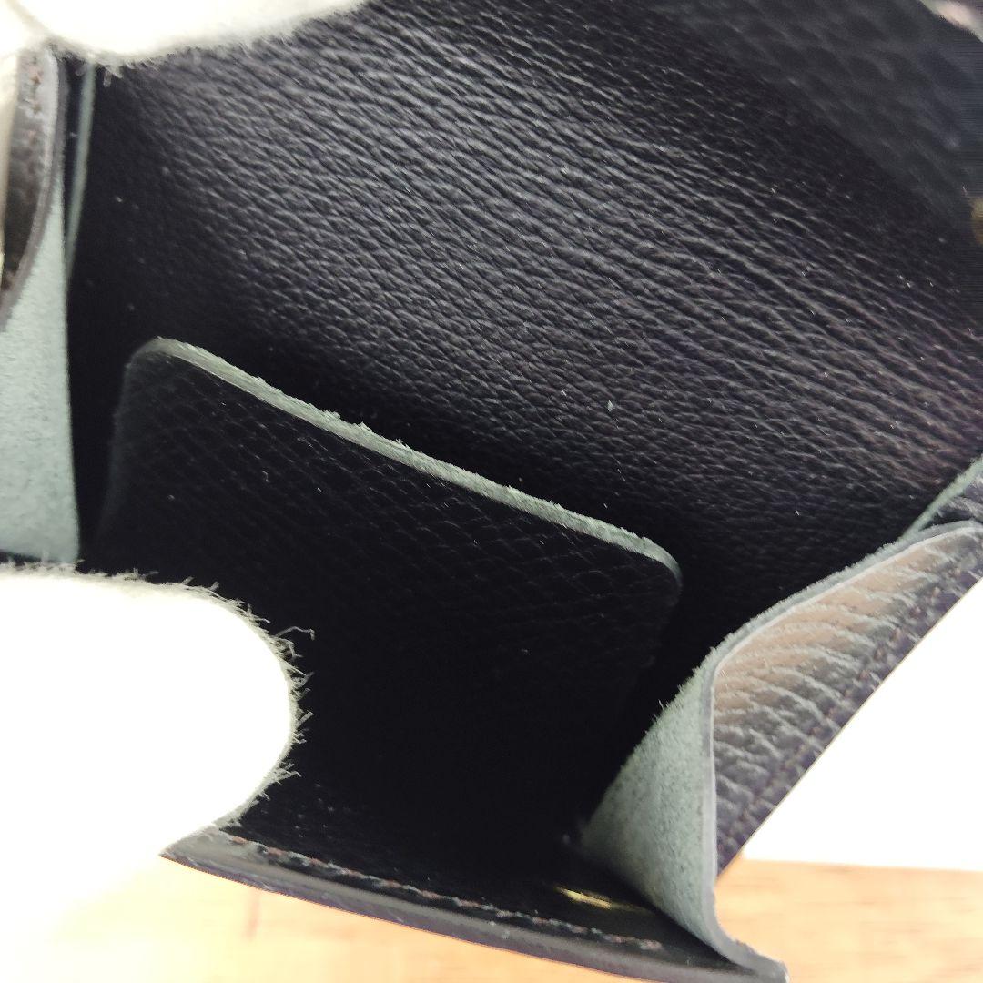 【未使用級】ワイルドスワンズ☆タング　ダークブラウン　多機能ケース