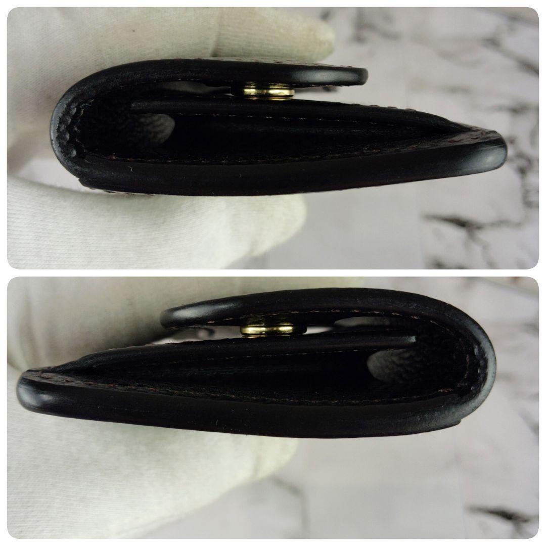 【未使用級】ワイルドスワンズ☆タング　ダークブラウン　多機能ケース