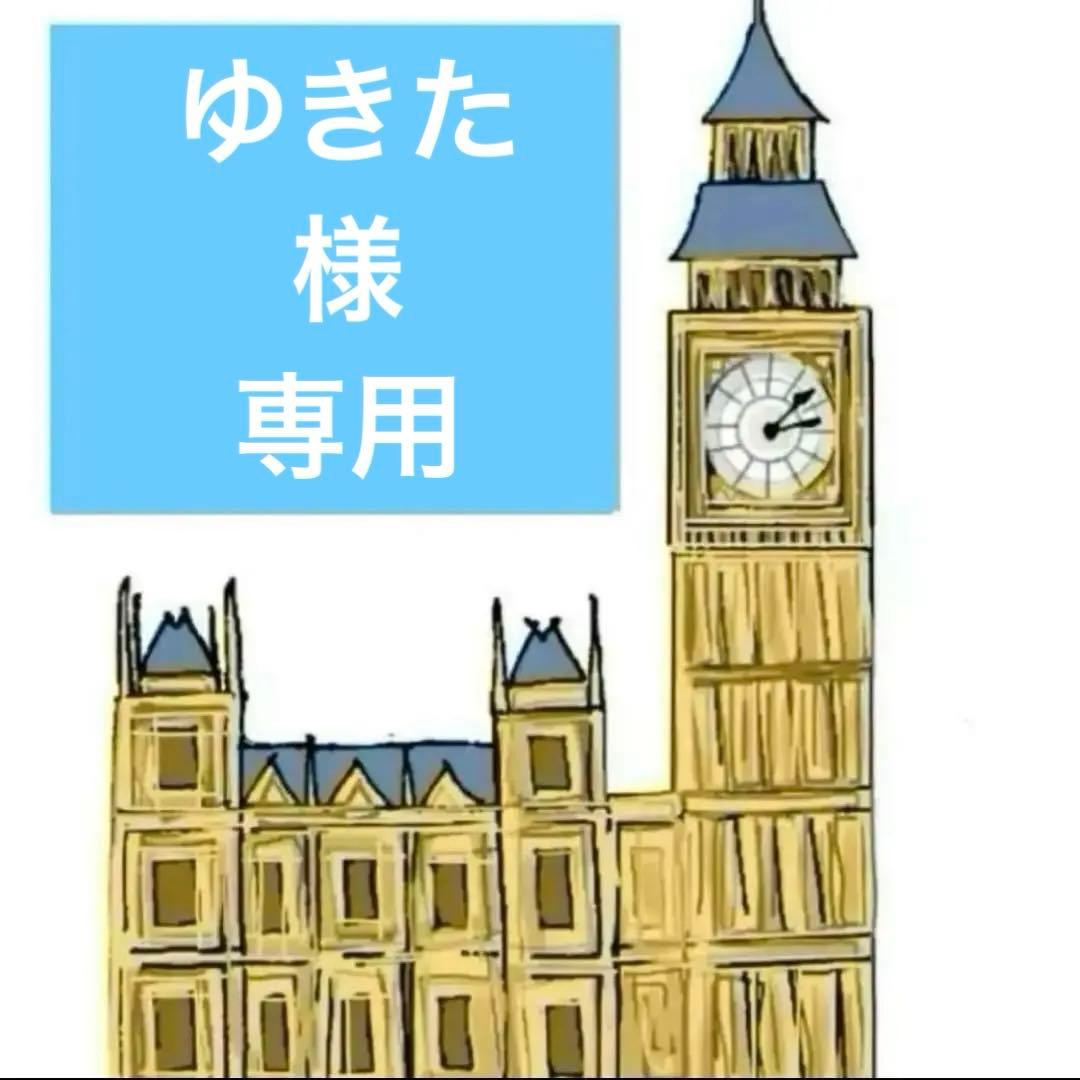 ゆきた 　豪華版　ウェンディ風　ウィッグ