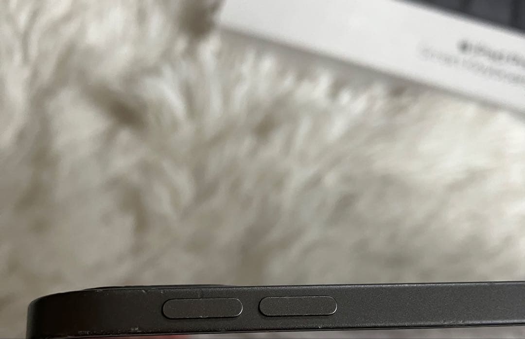 【早い者勝ち】iPad Pro 11インチ 第2世代 256GB 【すぐ発送】