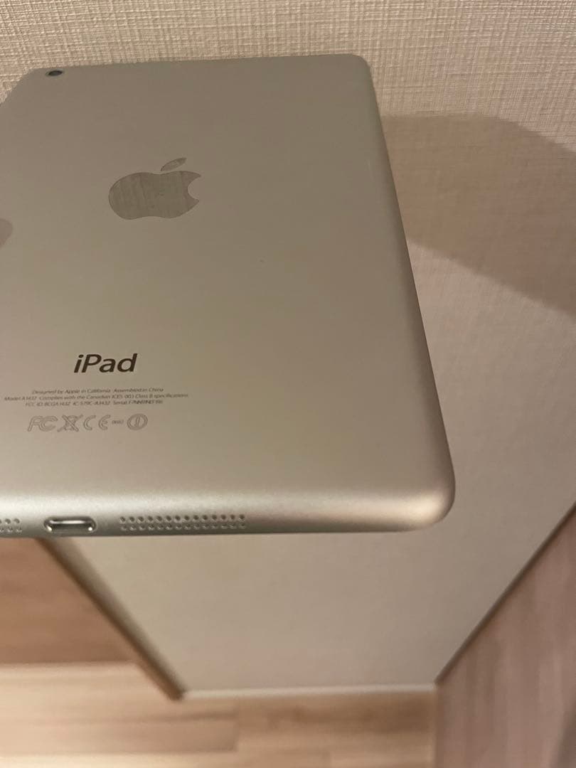 Apple iPad mini4本体