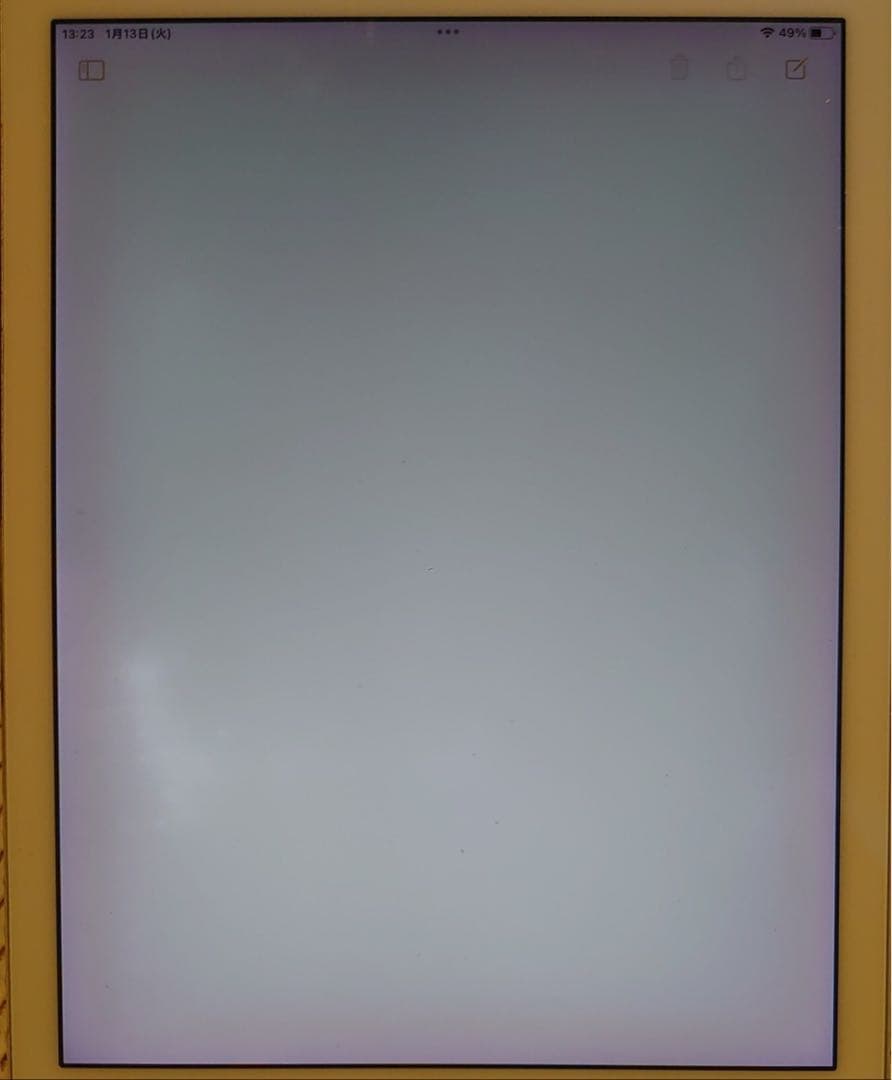 完動品iPad Pro9.7インチ(A1673)本体32GB送料込PT93N