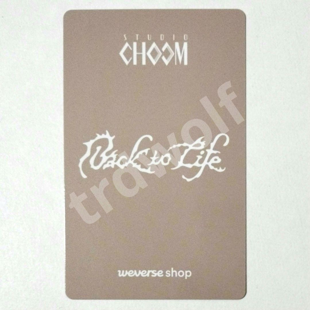 &TEAM ニコラス BTL スチュム STUDIO CHOOM トレカ