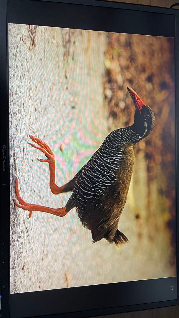 【ゲーミングモニター】GigaCrysta 144Hz 【中古】