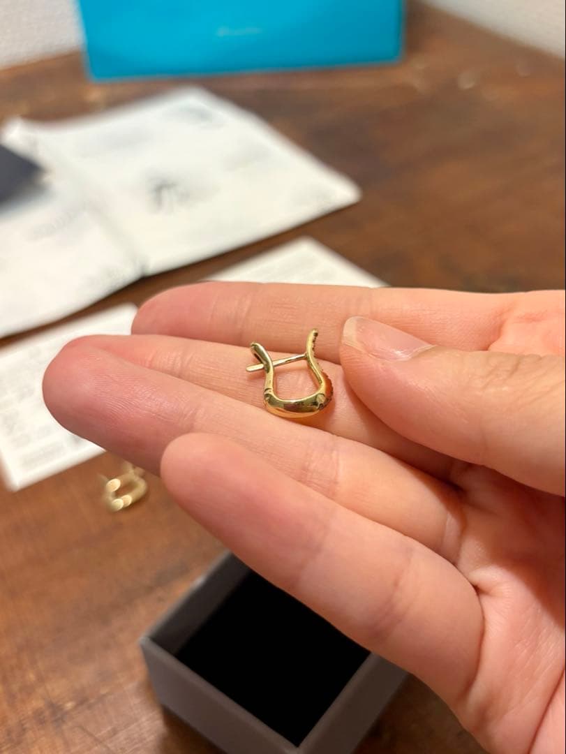 Hirotaka (片耳用) CYGNUS ダイヤモンド ピアス