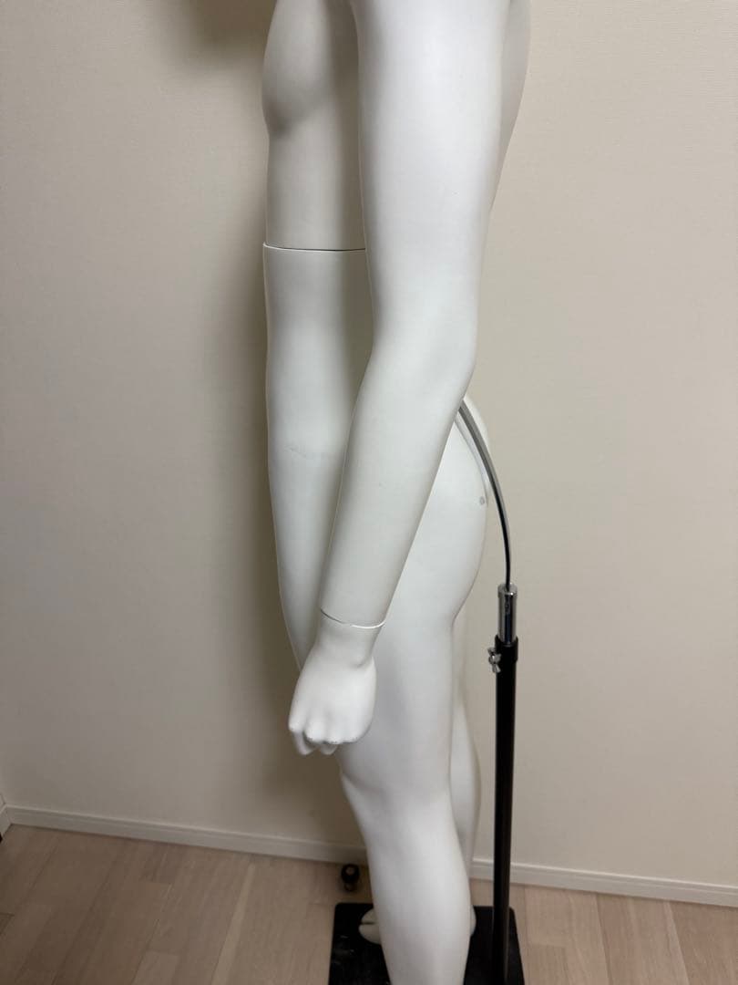 男性　全身トルソー　マネキン　白　高さ調整可能　ディスプレイ　店舗用品　ビジネス