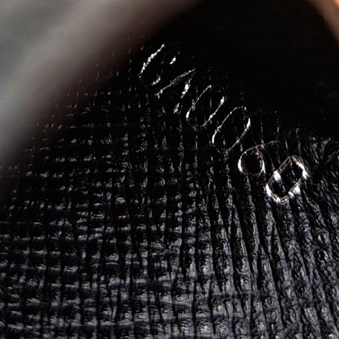 LOUIS VUITTON ルイヴィトン　タイガ　ケース　超美品