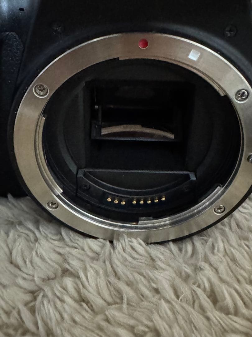 abc Canon EOS Kiss X10 ダブルレンズキット