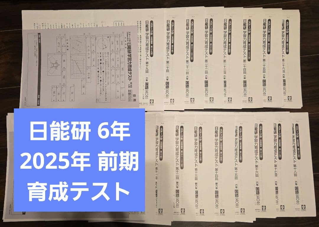 日能研 6年 育成テスト 2025年 前期 全17回