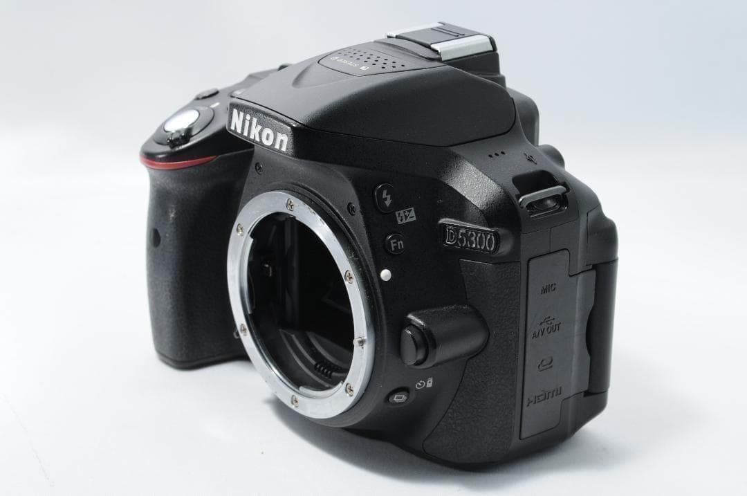 ご家族の成長記録に❗️Nikon D5300✨手ブレ補正＆WiFiでスマホ転送