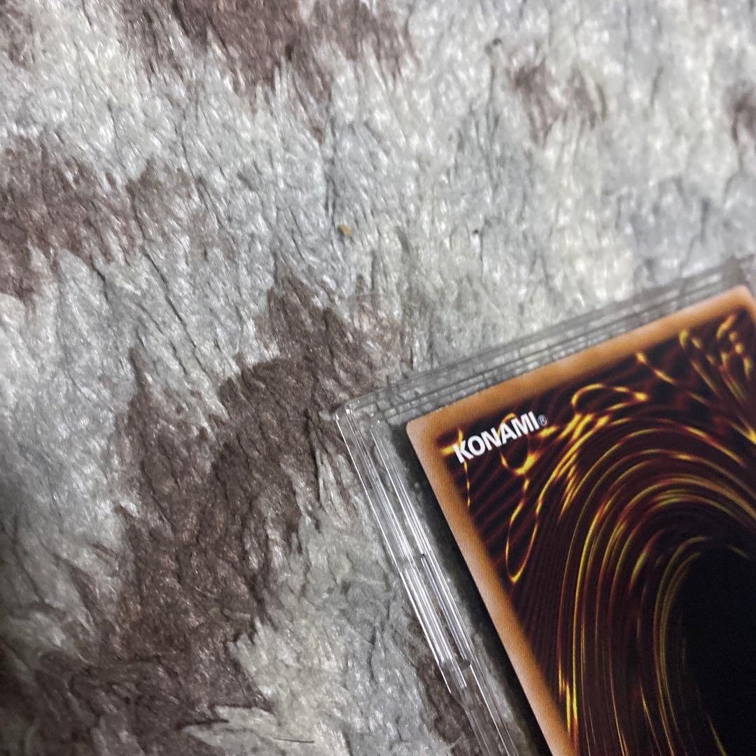 真紅眼の黒竜　レッドアイズブラックドラゴン　25thSE クオシク　絵違い