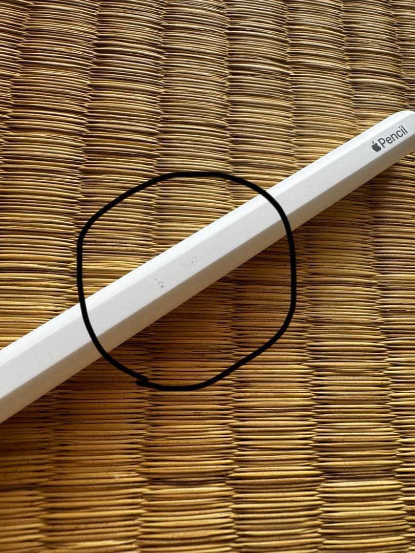 【純正】Apple Pencil (第2世代) 箱ごと配送