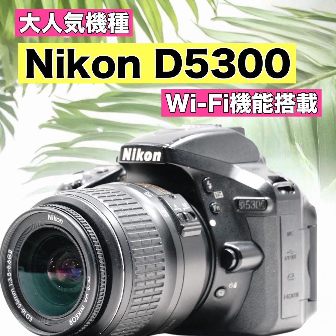 Nikon D5300✨Wi-Fi スマホ転送 高画質 一眼レフカメラ