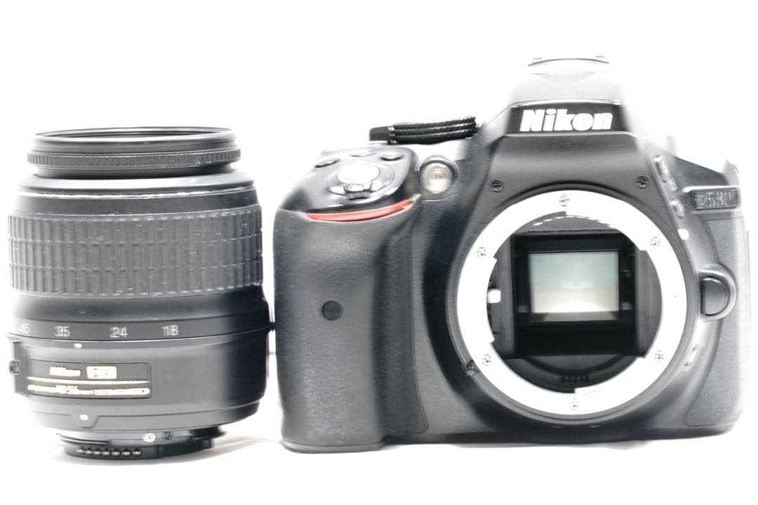 Nikon D5300✨Wi-Fi スマホ転送 高画質 一眼レフカメラ