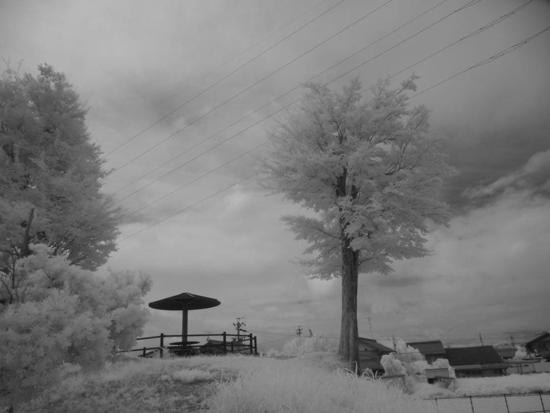 【天体撮影】Panasonic DMC-TZ35