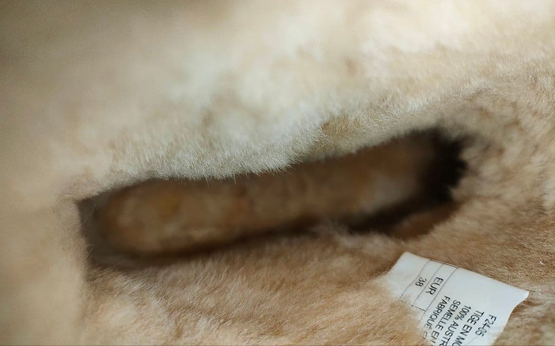 靴 EMU Australia stinger mini chestnut 24cm