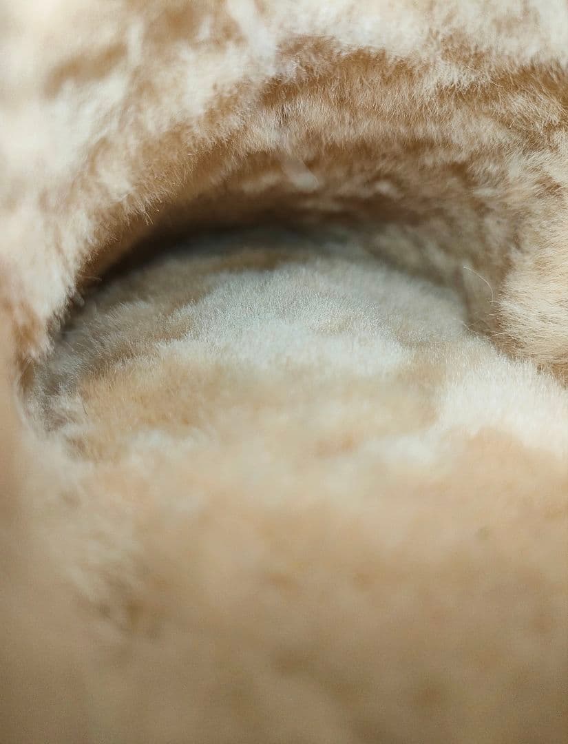 靴 EMU Australia stinger mini chestnut 24cm